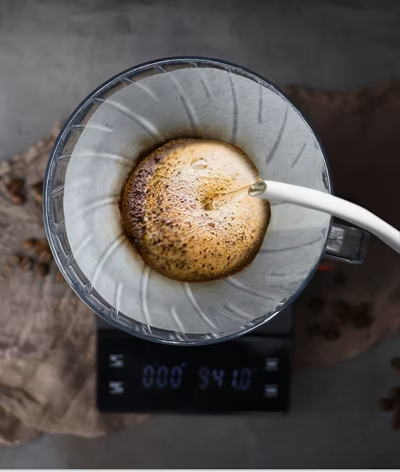 V60 Style Pour-over Filter 2-4 Cup