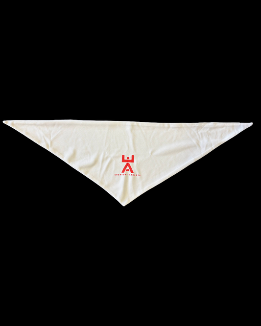 Everyday Athlete Ice Bandana