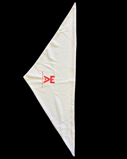 Everyday Athlete Ice Bandana